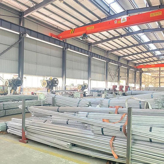 중국 Sichuan Xinglong Excellence Development Science and Technology Co., Ltd. 회사 프로필