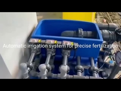 관개 및 비료 완전한 시스템