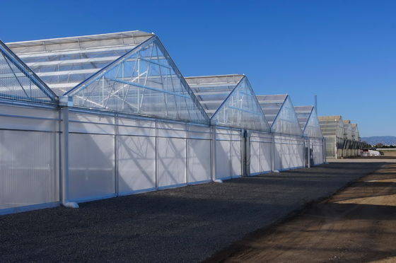 Lifespan 3-5 Years Plastic Film Greenhouse with 80%-90% Light Transmission