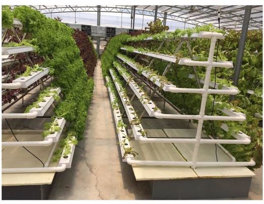 LED 수식 시스템 자동 수분 로크울 성장 중간 수동 pH 제어